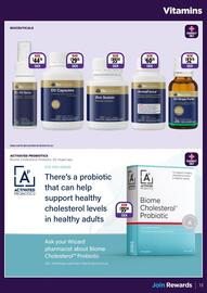 Wizard Pharmacy catalogue Page 13