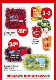 Eurospar Kundeavis uke 19 Side 11
