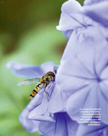 Catalogue Maxi Zoo page 12