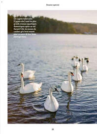 Catalogue Maxi Zoo page 13