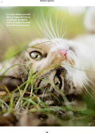 Catalogue Maxi Zoo page 14