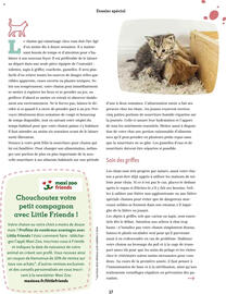 Catalogue Maxi Zoo page 17