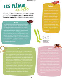 Catalogue Maxi Zoo page 24