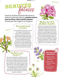 Catalogue Maxi Zoo page 30