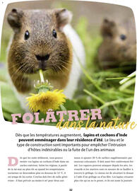 Catalogue Maxi Zoo page 32