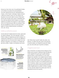 Catalogue Maxi Zoo page 33