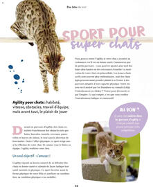 Catalogue Maxi Zoo page 34