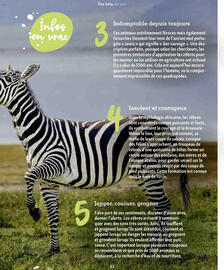Catalogue Maxi Zoo page 37