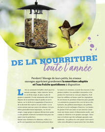 Catalogue Maxi Zoo page 38