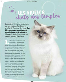 Catalogue Maxi Zoo page 44