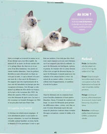 Catalogue Maxi Zoo page 45