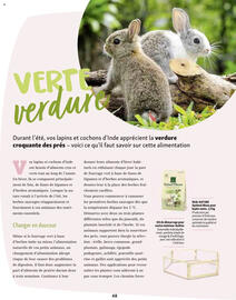 Catalogue Maxi Zoo page 48