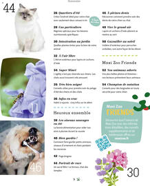 Catalogue Maxi Zoo page 5