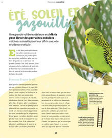 Catalogue Maxi Zoo page 50
