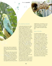 Catalogue Maxi Zoo page 51
