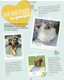 Catalogue Maxi Zoo page 52