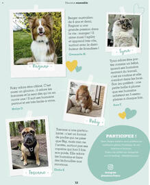 Catalogue Maxi Zoo page 53