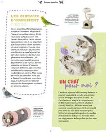 Catalogue Maxi Zoo page 7