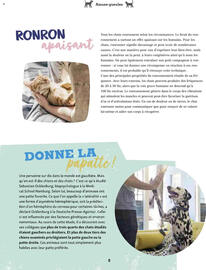 Catalogue Maxi Zoo page 8