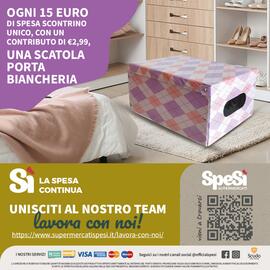 Volantino SpeSì Pagina 12