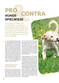 ZOO & Co Flugblatt Seite 10