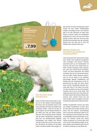 ZOO & Co Flugblatt Seite 11
