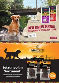 ZOO & Co Flugblatt Seite 12