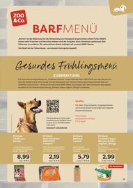 ZOO & Co Flugblatt Seite 13