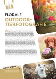 ZOO & Co Flugblatt Seite 14
