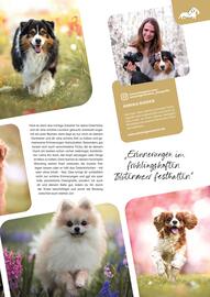 ZOO & Co Flugblatt Seite 15