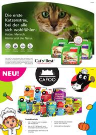 ZOO & Co Flugblatt Seite 17