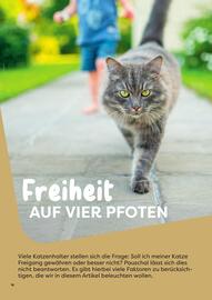 ZOO & Co Flugblatt Seite 18