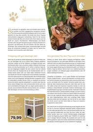 ZOO & Co Flugblatt Seite 19