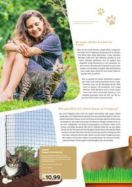 ZOO & Co Flugblatt Seite 20