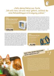 ZOO & Co Flugblatt Seite 21