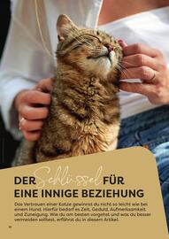 ZOO & Co Flugblatt Seite 22