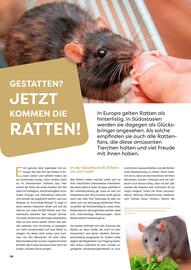 ZOO & Co Flugblatt Seite 26