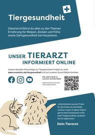ZOO & Co Flugblatt Seite 28