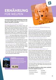 ZOO & Co Flugblatt Seite 29