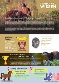 ZOO & Co Flugblatt Seite 3