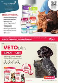 ZOO & Co Flugblatt Seite 30