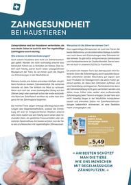 ZOO & Co Flugblatt Seite 32