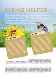 ZOO & Co Flugblatt Seite 34