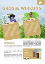 ZOO & Co Flugblatt Seite 35