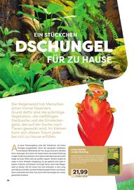 ZOO & Co Flugblatt Seite 38
