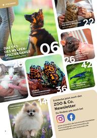ZOO & Co Flugblatt Seite 4