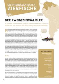 ZOO & Co Flugblatt Seite 40