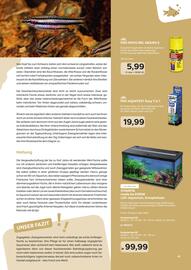 ZOO & Co Flugblatt Seite 41