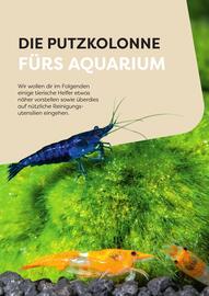 ZOO & Co Flugblatt Seite 42