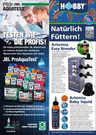 ZOO & Co Flugblatt Seite 47